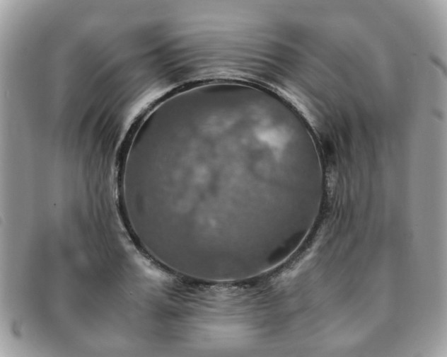 X0000091540987200708171240