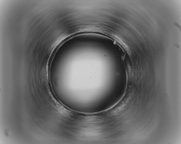 X0000091540988200708171240