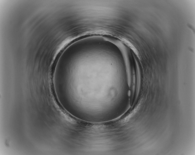 X0000091540989200708171240