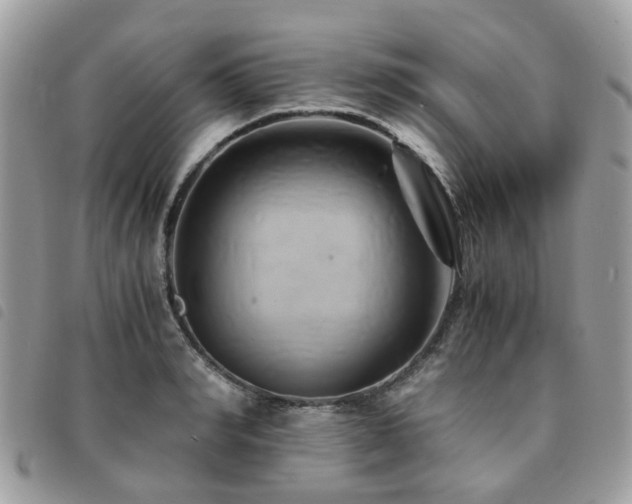 X0000091540990200708171240
