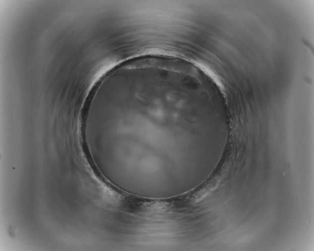 X0000091540991200708171240