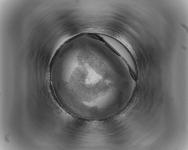 X0000091540992200708171240