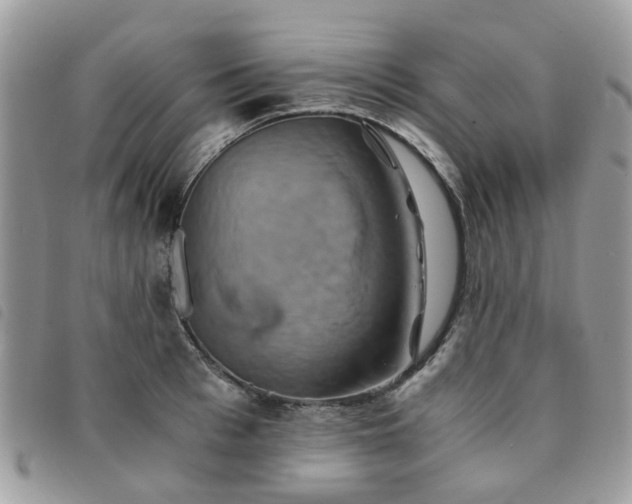 X0000091540993200708171240