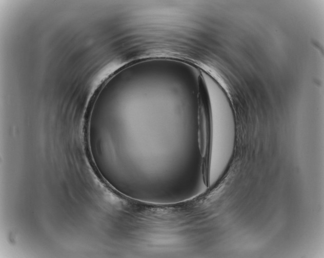X0000091540995200708171240