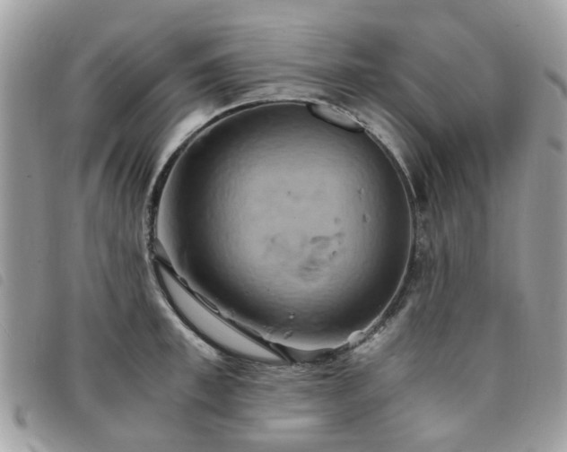 X0000091540997200708171240