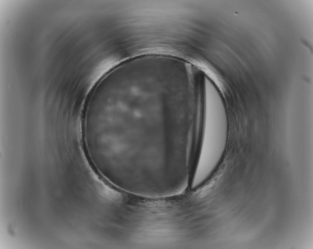 X0000091540999200708171240