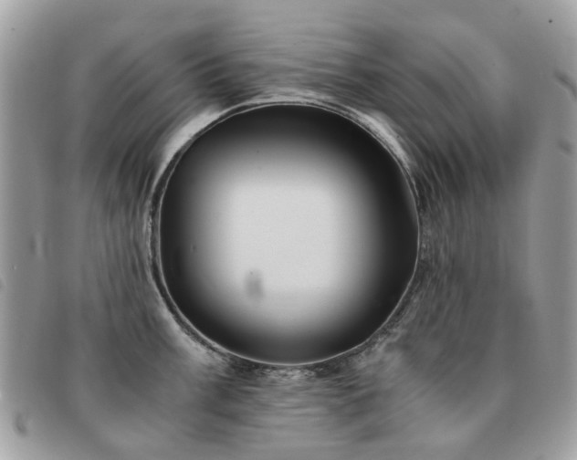 X0000091541003200708171240