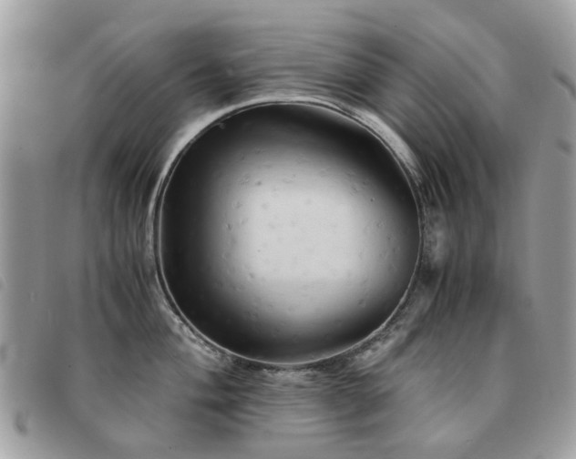 X0000091541004200708171240