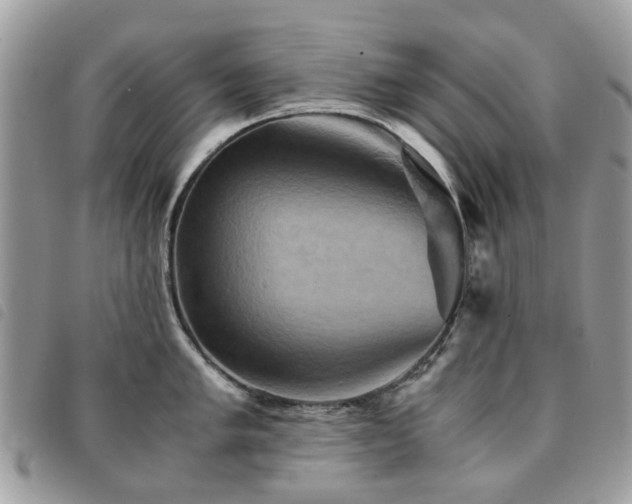 X0000091541005200708171240