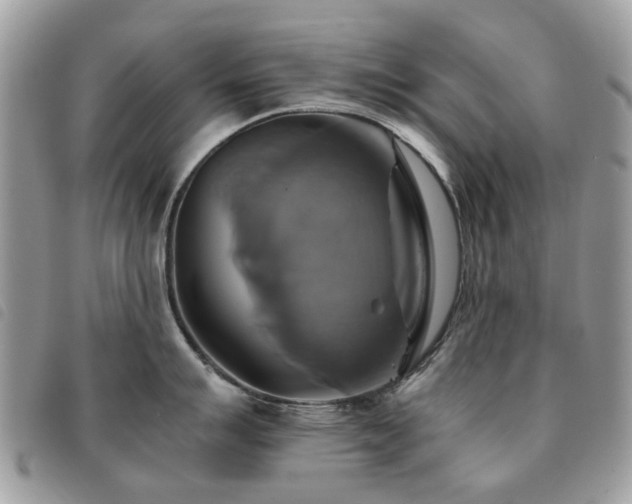X0000091541007200708171240