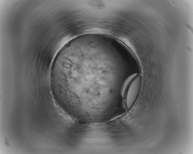 X0000091541008200708171240