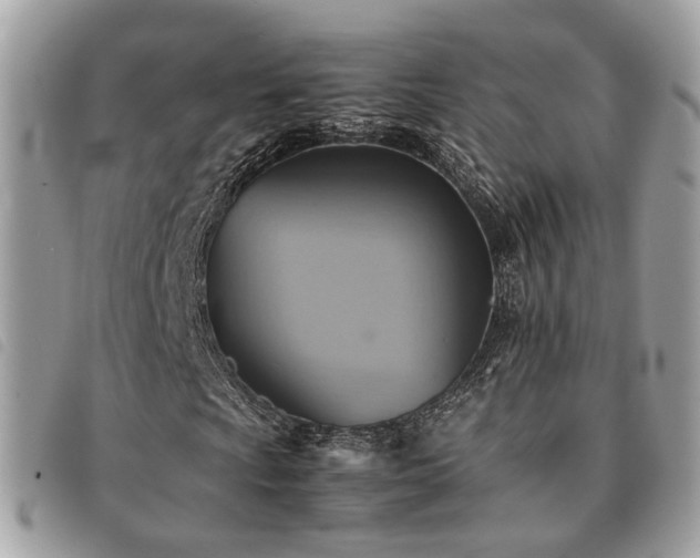 X0000091541009200708171239