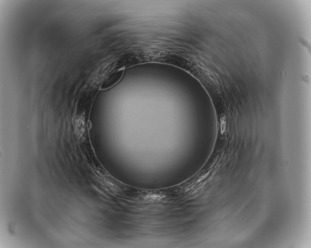 X0000091541011200708171239