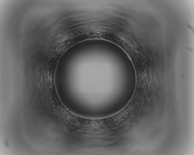 X0000091541013200708171239