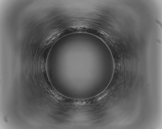 X0000091541014200708171239