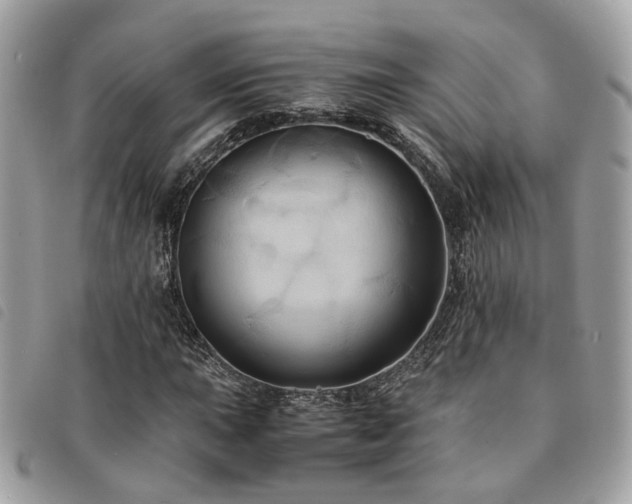 X0000091541015200708171239