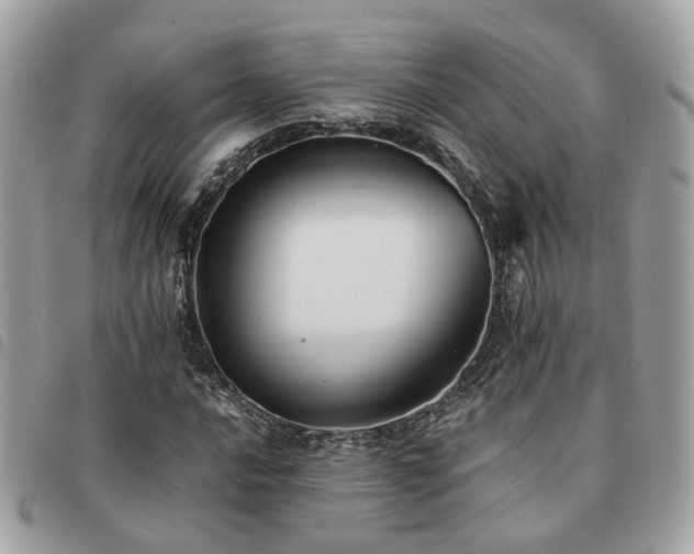 X0000091541016200708171239