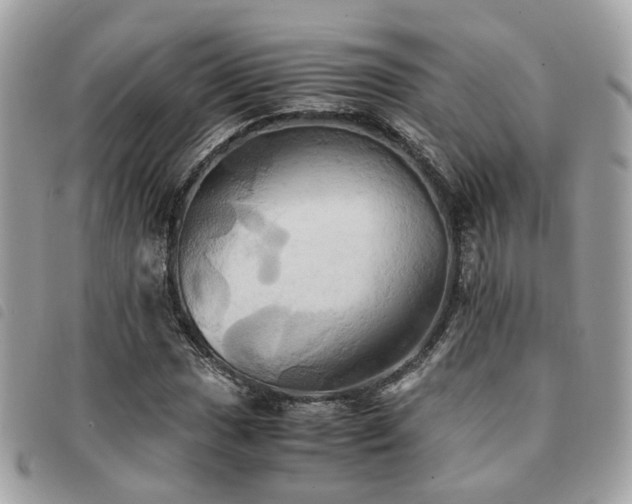 X0000091541017200708171239