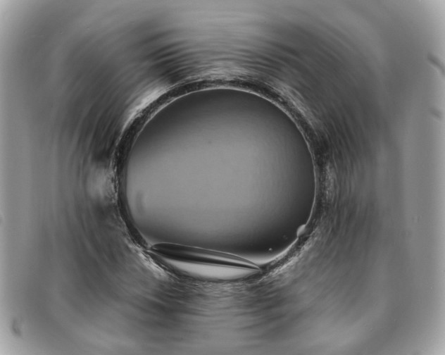 X0000091541018200708171239