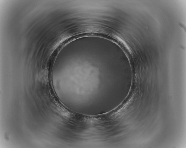 X0000091541019200708171239