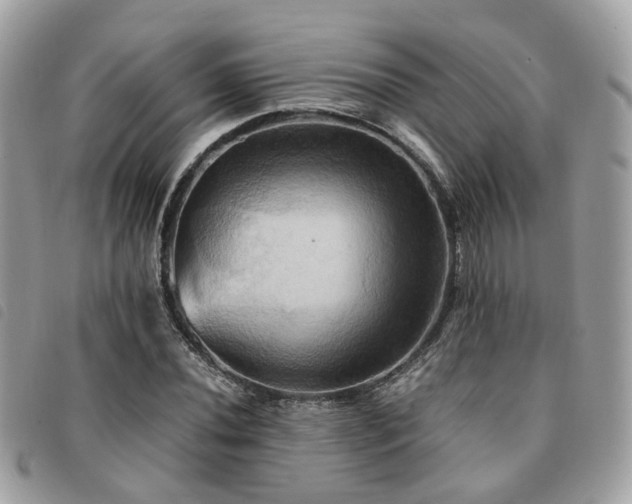 X0000091541020200708171239