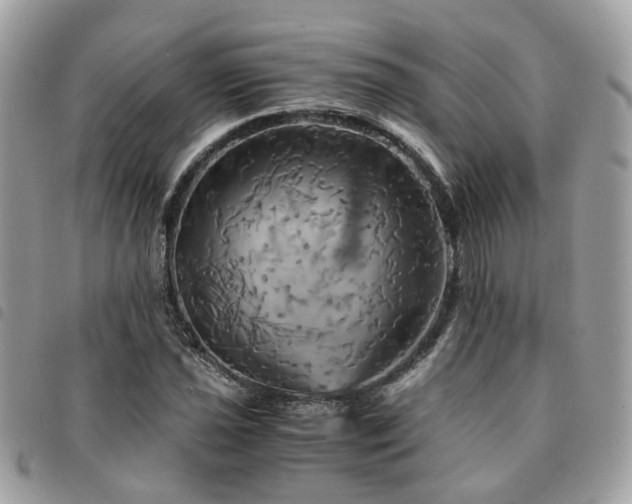 X0000091541021200708171239