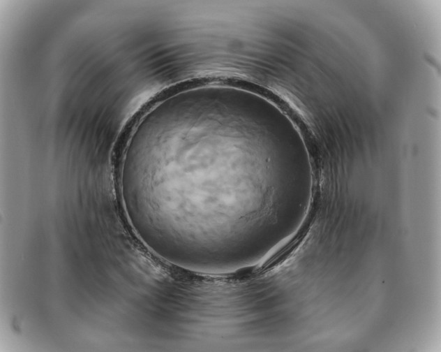 X0000091541022200708171239