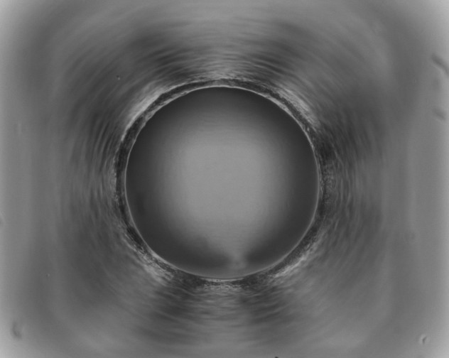 X0000091541023200708171239