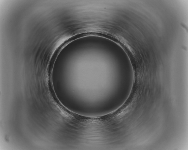 X0000091541024200708171239