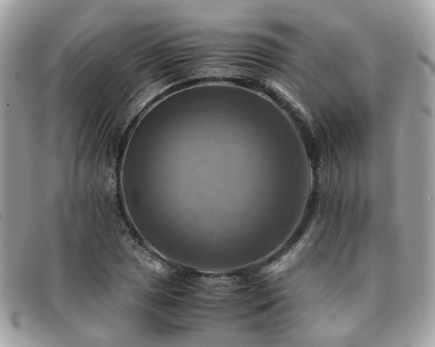 X0000091541025200708171239