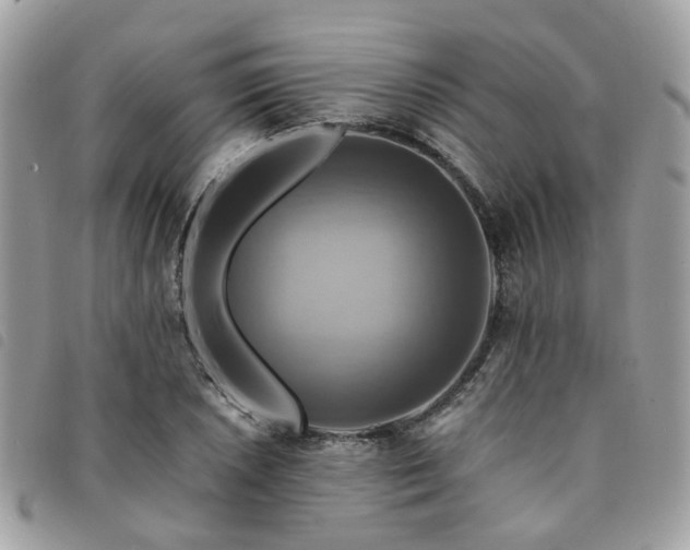 X0000091541026200708171239