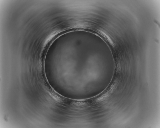 X0000091541027200708171239