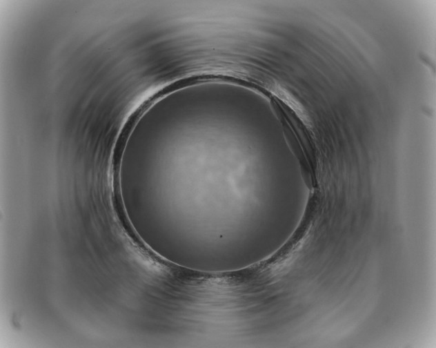 X0000091541028200708171239