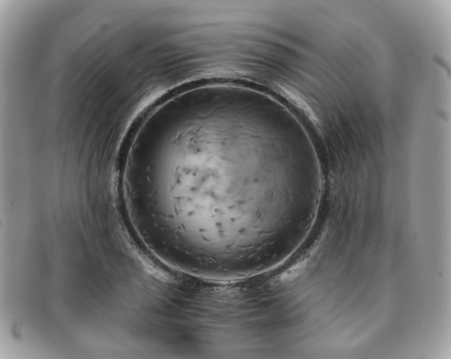 X0000091541029200708171239