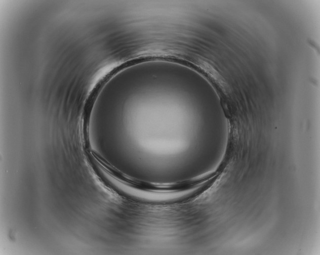 X0000091541030200708171239