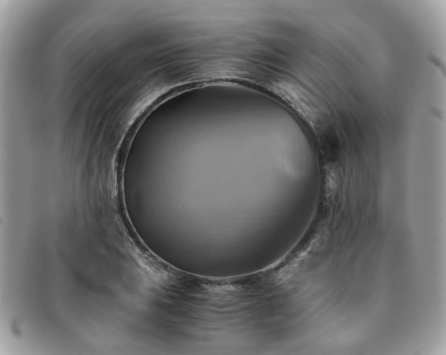 X0000091541031200708171239