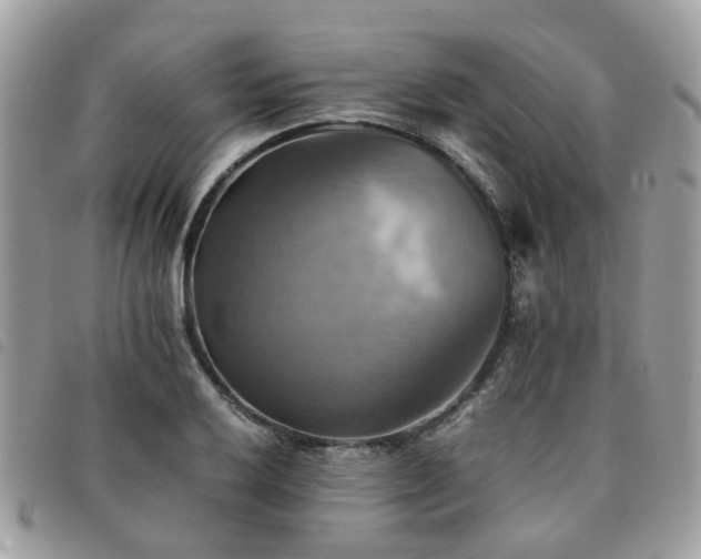 X0000091541032200708171239