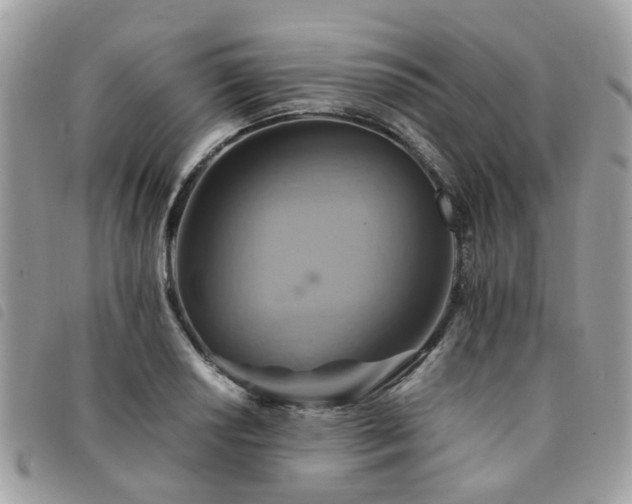 X0000091541034200708171239