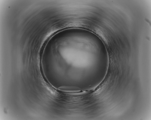 X0000091541035200708171239
