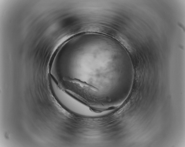 X0000091541036200708171239