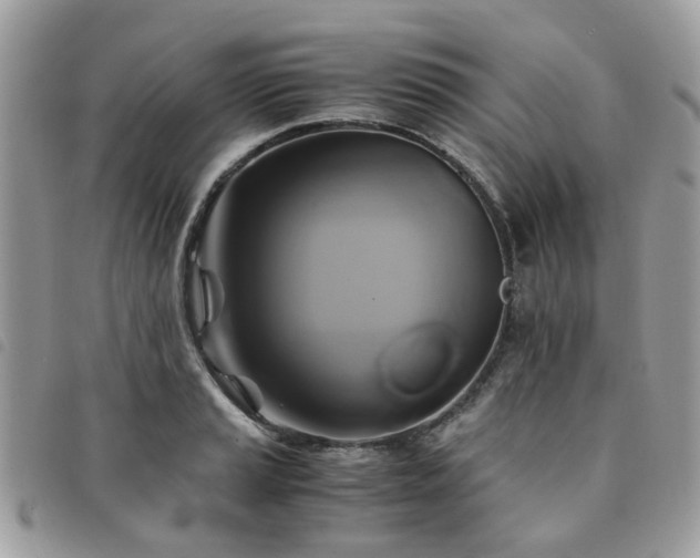 X0000091541037200708171239