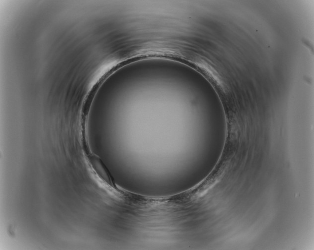 X0000091541038200708171239