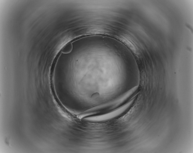 X0000091541039200708171239