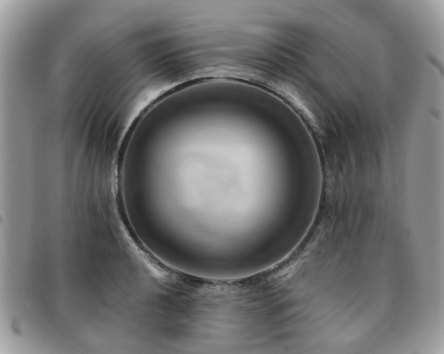 X0000091541040200708171239
