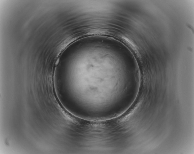 X0000091541041200708171239