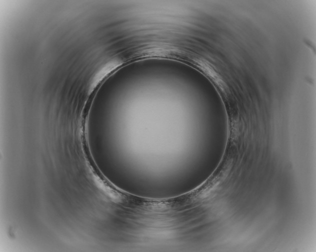 X0000091541042200708171239