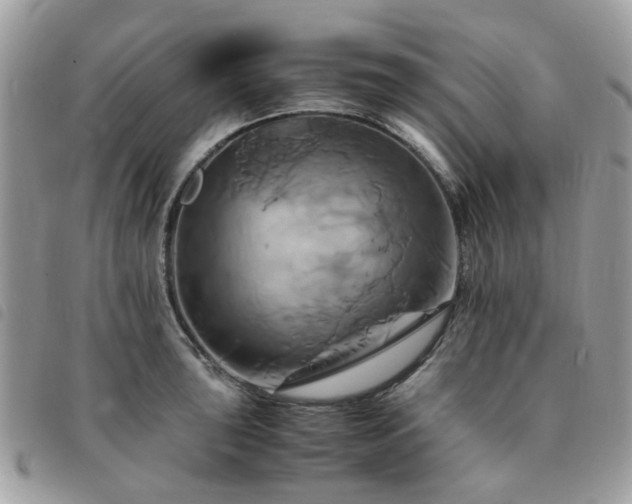 X0000091541043200708171239