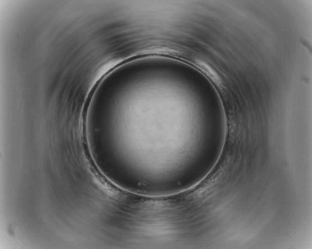 X0000091541044200708171239