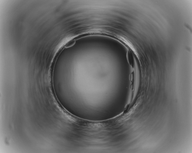X0000091541045200708171239