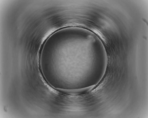 X0000091541046200708171239